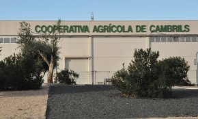 La Cooperativa Agrícola diu que s'ha vist obligada a plantejar un nou refinançament després de no haver aconseguit «el suport dels poders públics»