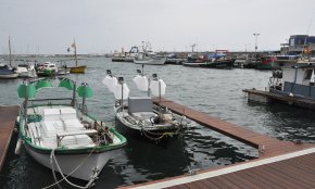 Els pescadors d'encerclament  de la demarcació de Tarragona reclamen poder capturar les tonyines que els hi entren a la xarxa