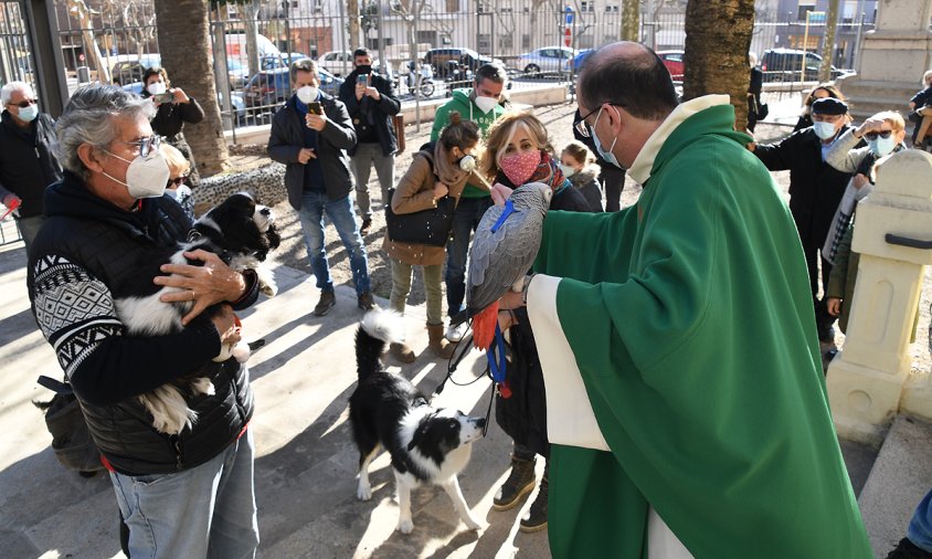 La benedicció dels animals es va fer al pati de l'Ermita