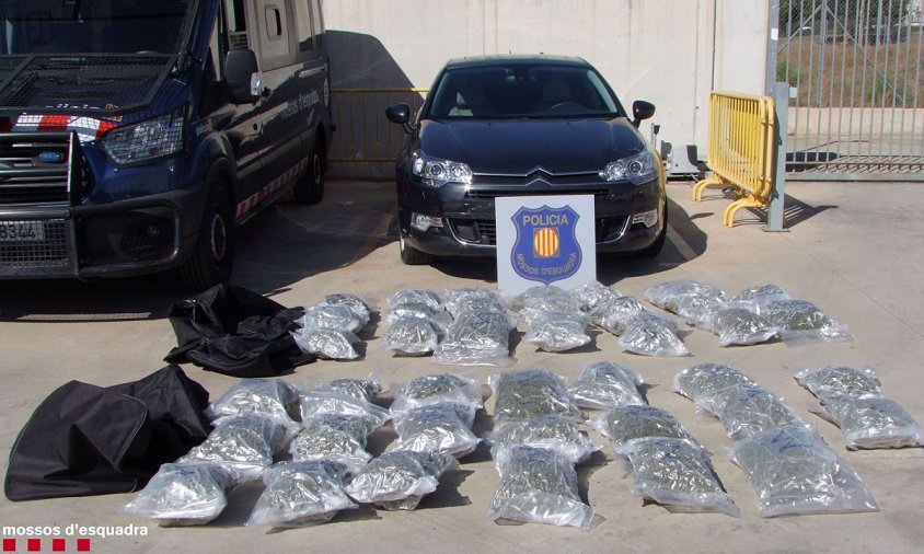 Es van localitzar 40 cabdells de marihuana a l'interior d'un vehicle intervingut a Vila-seca