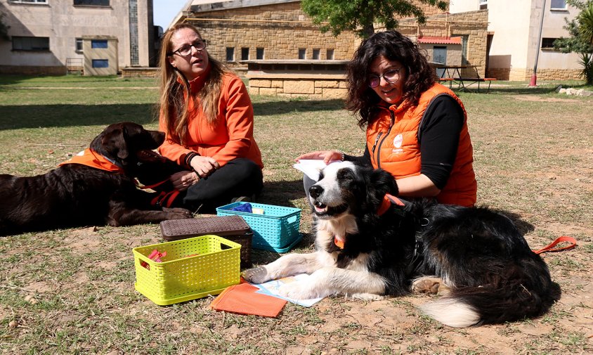 Els gossos són els protagonistes de les teràpies amb els infants víctimes d'abusos sexuals