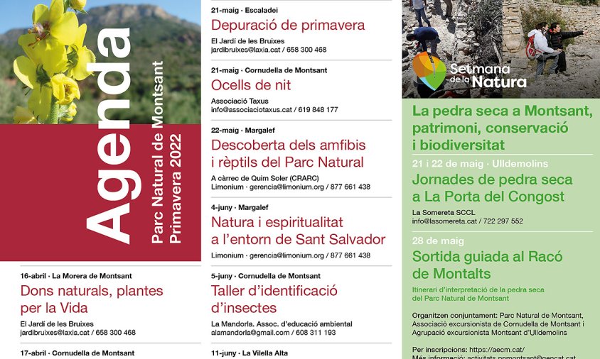 Cartell amb algunes de les activitats previstes