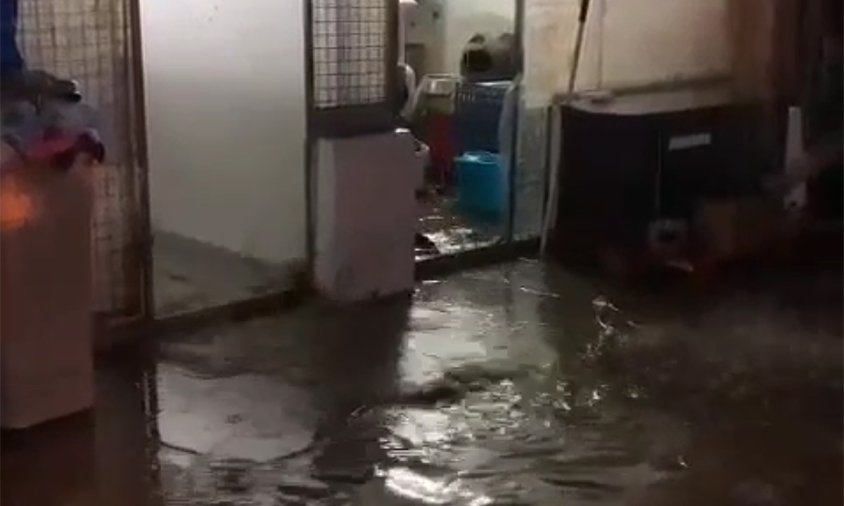 Captura d'un vídeo on es veuen les instal·lacions de la protectora inundades