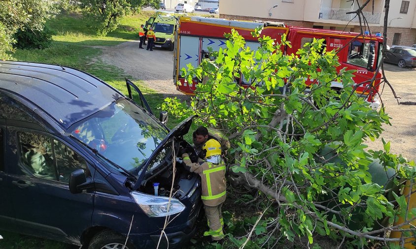 El vehicle accidentat ha quedat sota la figuera
