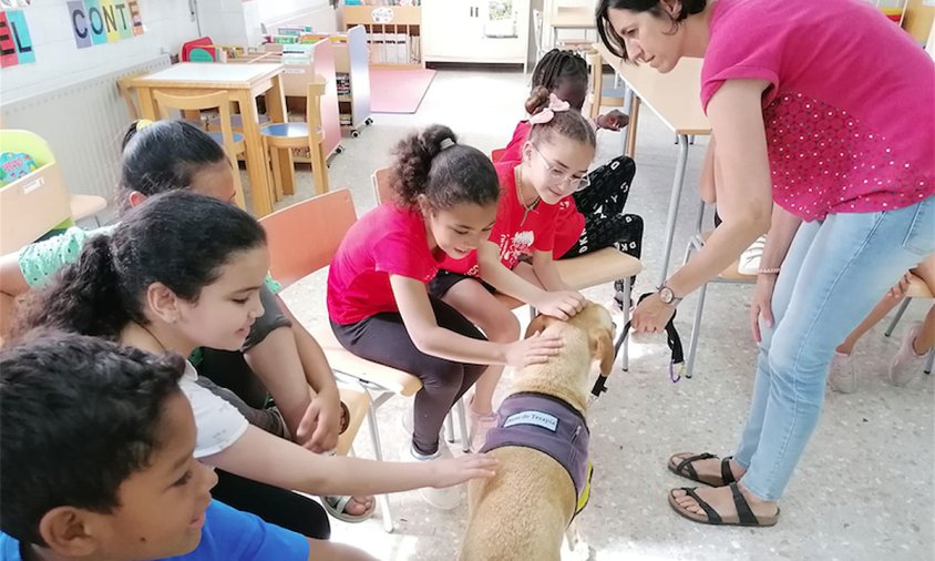 Alumnat de l'escola Marinada participant en les sessions de l'Associació a 4 Potes