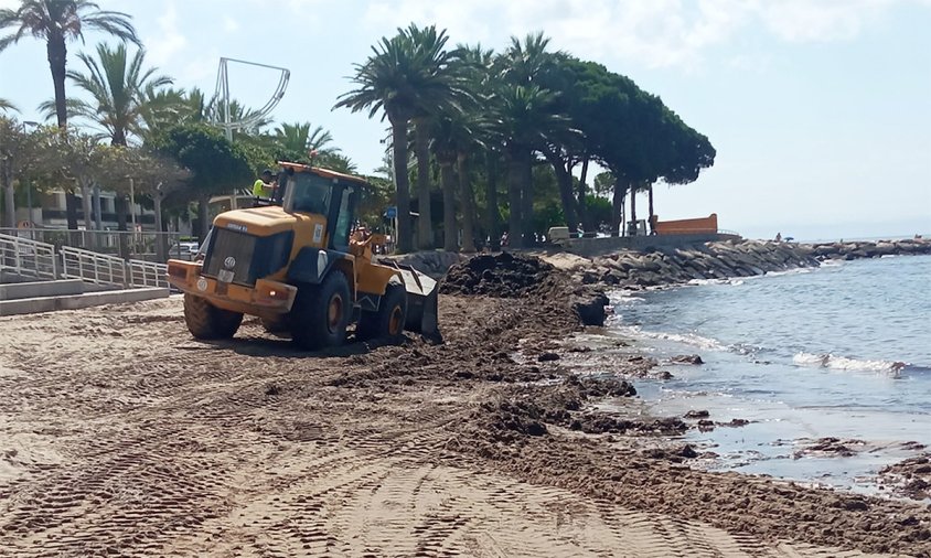 Tasques de reposició de sorra, la setmana passada, a la zona de Llevant