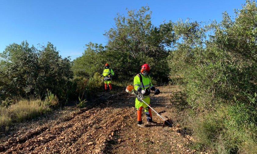 Imatge d'arxiu dels treballs realitzats en el marc del Pla d’Ocupació de Prevenció d’Incendis Forestals en l'edició de l'any passat