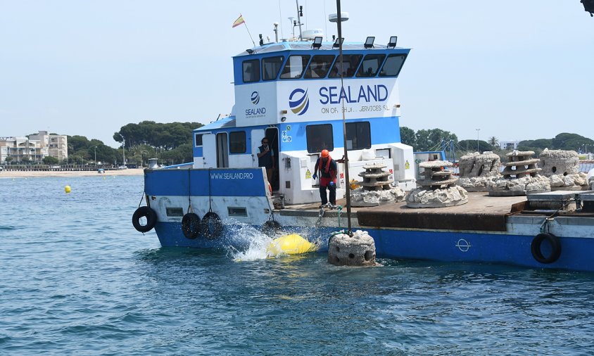 La col·locació de biòtops, el passat mes de maig, i la delimitació de la reserva marina del Cavet, van ser el primers passos de cara a l'impuls de Viu la Posidònia