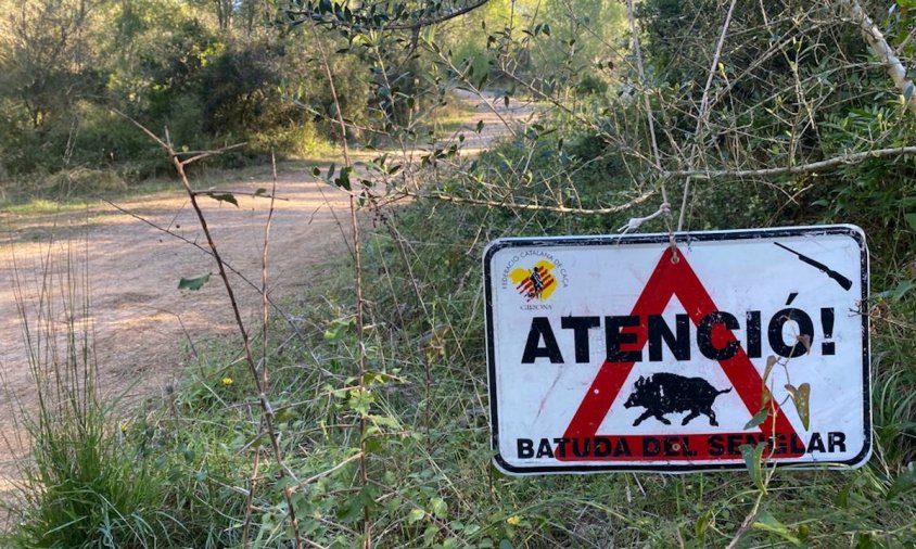 Cartell d'alerta d'una batuda de senglars