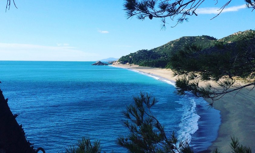 Imatge de la platja naturista del Torn