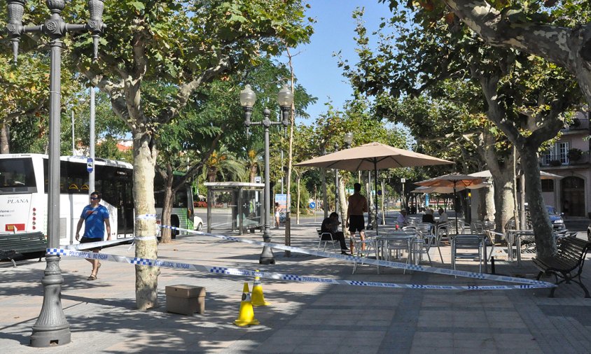 Ahir es va localitzar un rusc d'abelles al Passeig Albert