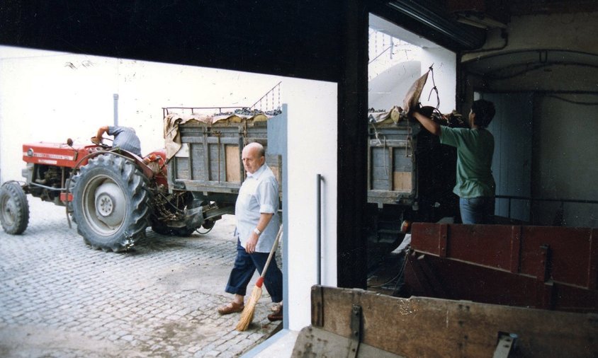 Tractor a punt de descarregar la verema, al pati de la Cooperativa Agrícola, l'any 1993