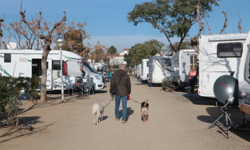 Un home passeja amb els seus dos gossos pel càmping La Llosa