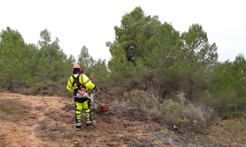 Imatge d'un treballador forestal