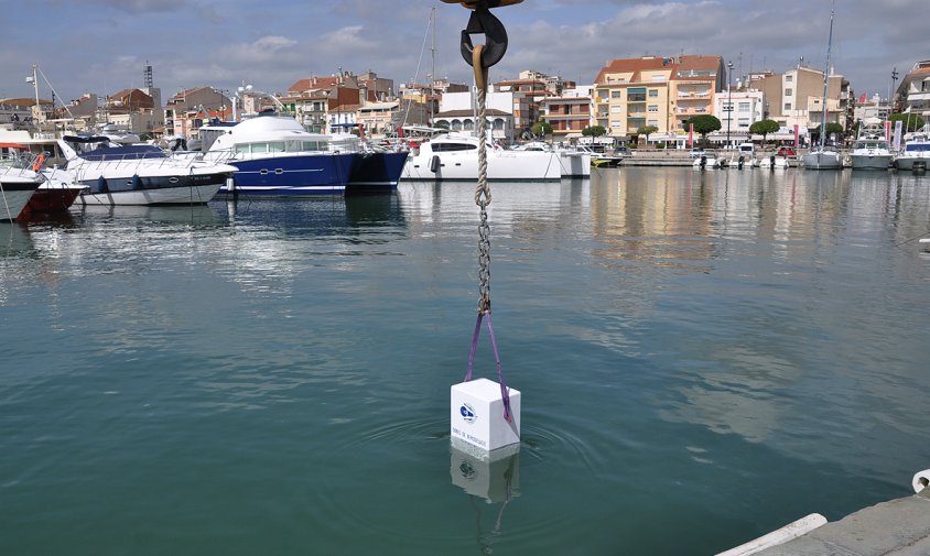 La primera pedra s'ha submergit, de manera simbòlica, dins de les aigües del port