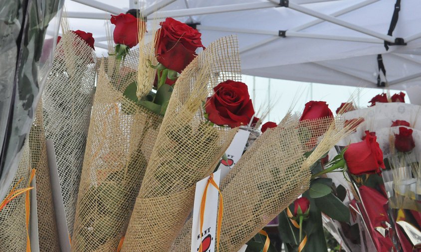 Detall d'unes roses de Sant Jordi