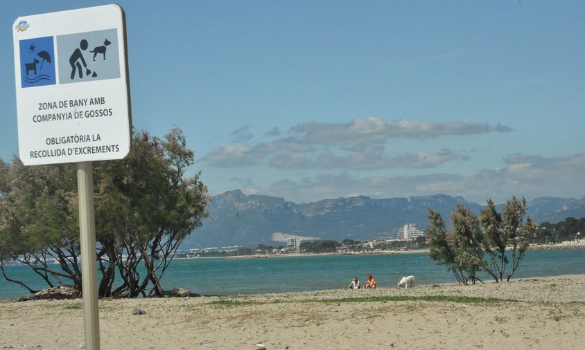 Imatge d'arxiu de la platja per a gossos, ubicat a la desembocadura de la riera d'Alforja