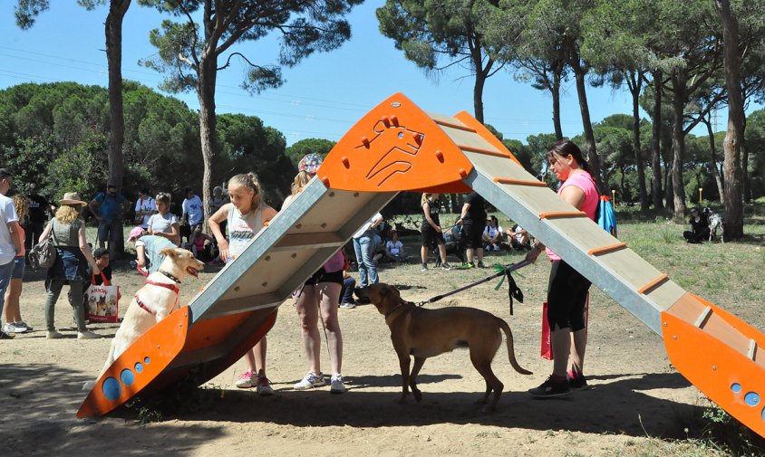 Imatge de l'àrea per a gossos, el passat diumenge al matí