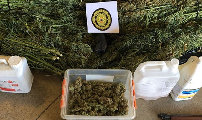 Material comissat a l\'acció policial