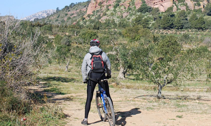 Imatge promocional de la ruta cicloturista per la comarca del Baix Camp