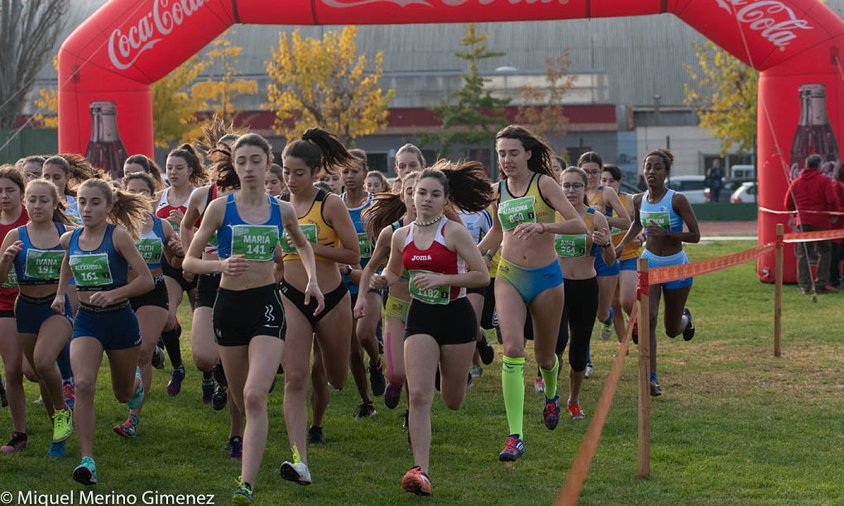 Imatge de l'atleta local Maria Taggi amb el dorsal 141