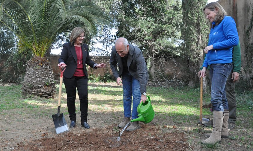 L'alcaldessa, Camí Mendoza; el responsable d'ADN, Francisco Javier Castillo i la directora del Parc Samà, Marketa Stverakova en el moment de plantar un dels tres arbres