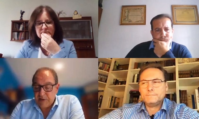 Una imatge del ple telemàtic celebrat aquest matí