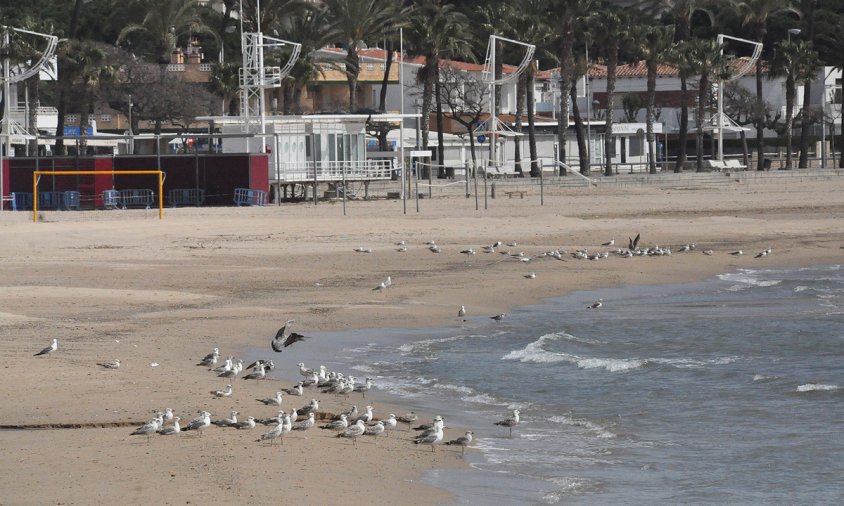 Imatge de la platja del Regueral completament deserta, el passat 5 d'abril