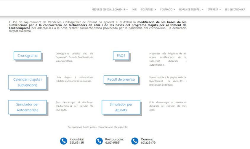 Imatge de la pàgina web d'Idetsa que s'ha ampliat amb més informació adreçada a l'empresariat