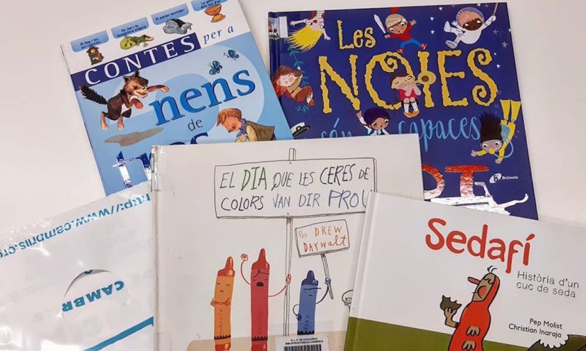 Imatge d'un lot de llibres de temàtica infantil