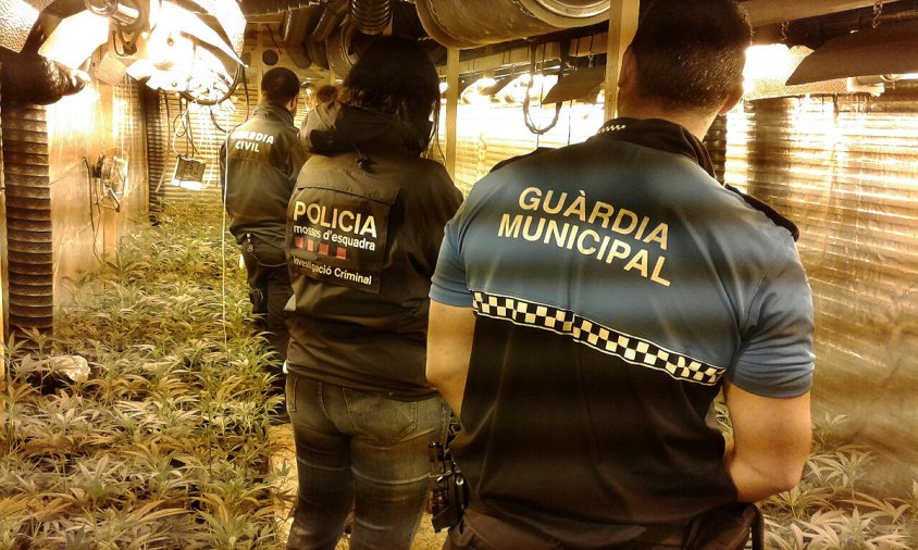 Imatge de l'acció policial conjunta a la finca de Riudoms