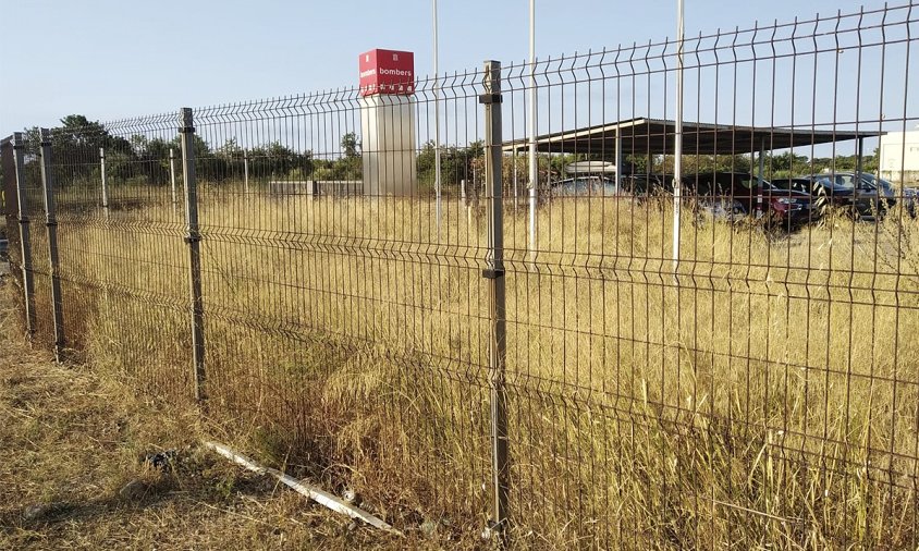 Aspecte de les herbes que hi ha dins el recinte del parc de Bombers