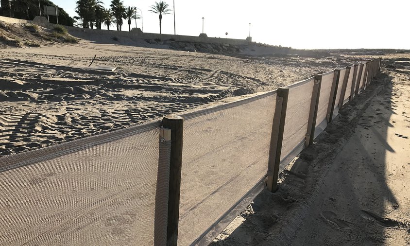 Malles que s'han instal·lat a la platja de l'Arenal