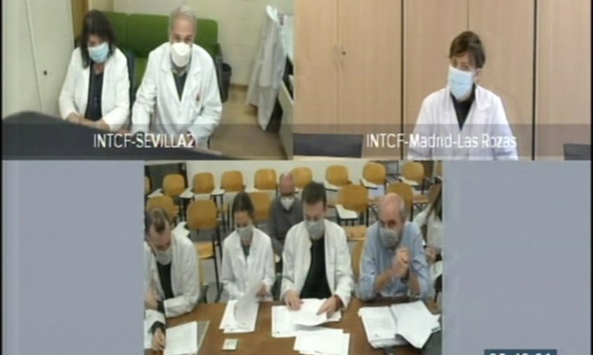 Intervenció telemàtica dels forenses en la sessió del judici d'ahir