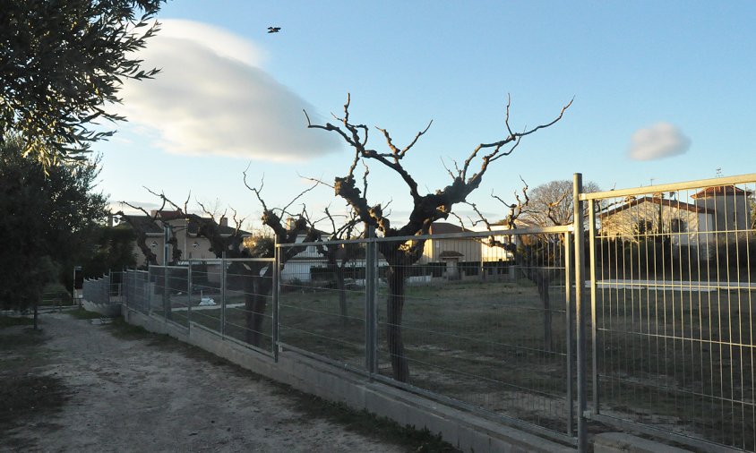 Imatge del solar, al carrer de Manuel Hidalgo, on es vol implantar el projecte d'horts urbans