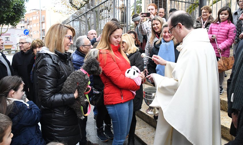 Benedicció dels animals en la festivitat de Sant Antoni de l'any passat