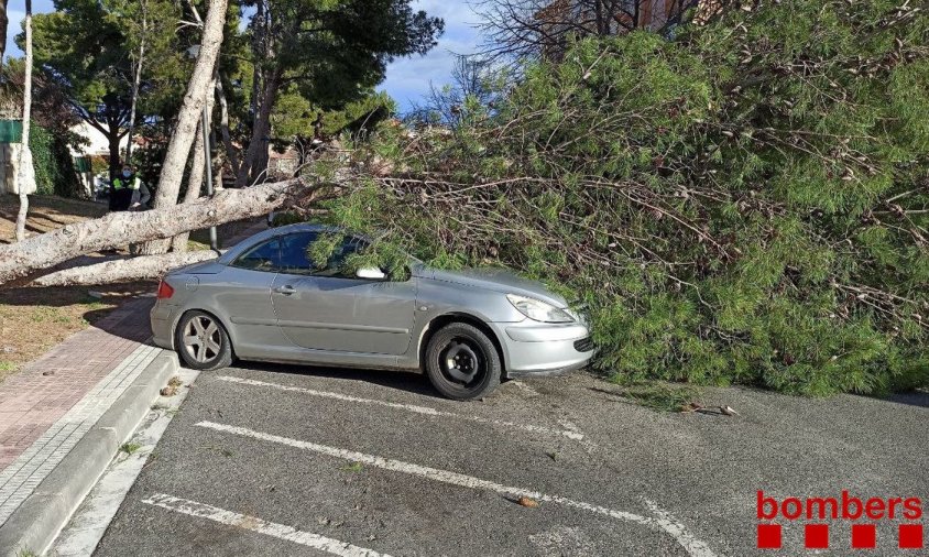 Un arbre tombat sobre un cotxe durant un temporal de vent a Cambrils, aquest divendres