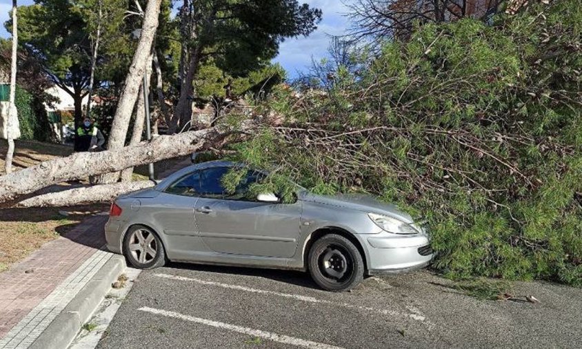 Arbre caigut sobre un vehicle en la ventada de la setmana passada a Cambrils