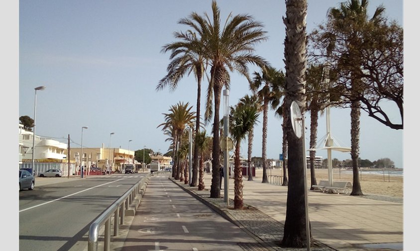 El Departament de Medi Ambient ha plantat palmeres al tram de passeig entre el Club Nàutic i el Pi Rodó