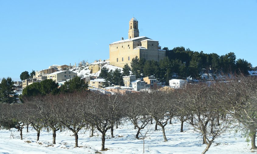 Imatge de Tivissa, el passat 12 de gener, després de la nevada caiguda el dia anterior