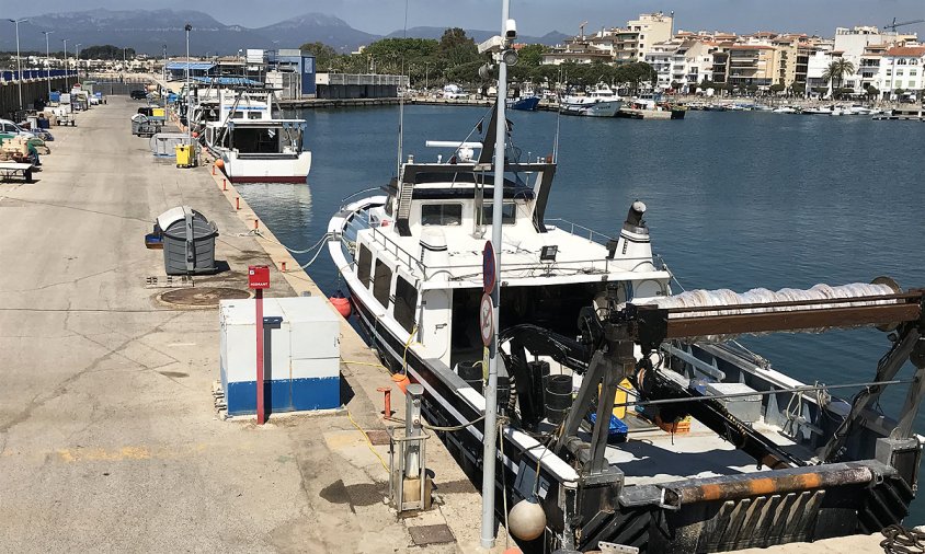 Moll de pesca amb les barques amarrades, ahir al matí