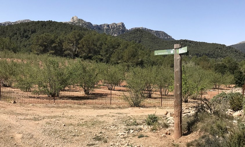 Paisatge corresponent al terme municipal de Pratdip amb el Cavall Bernat i la Creu de Llaberia al fons