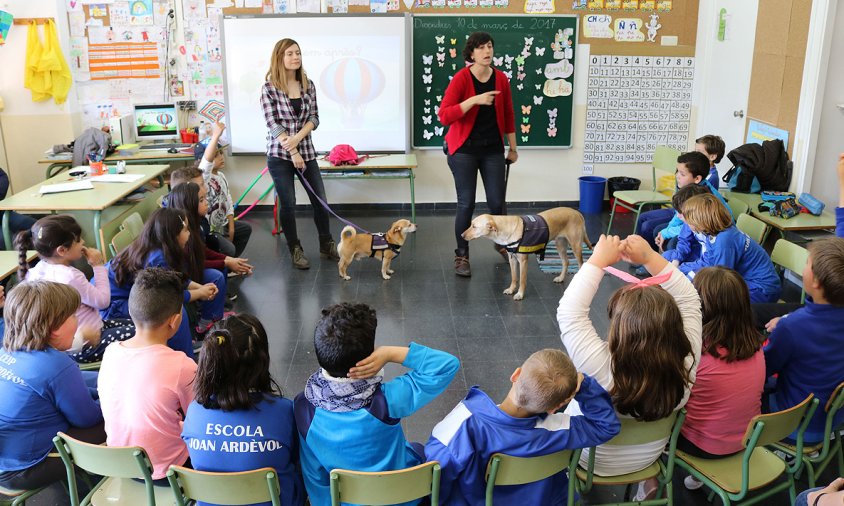 Imatge del taller amb els gossos ensinistrats