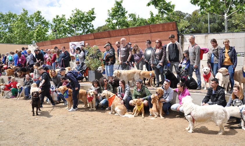 Imatge de la trobada de gossos que va tenir lloc el passat diumenge al parc del Pescador