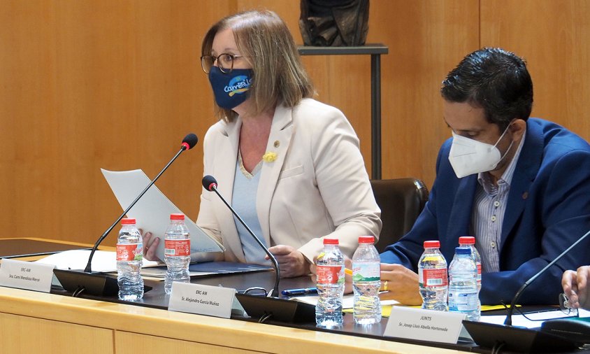 Camí Mendoza, en un moment de la seva intervenció al ple de la moció de censura