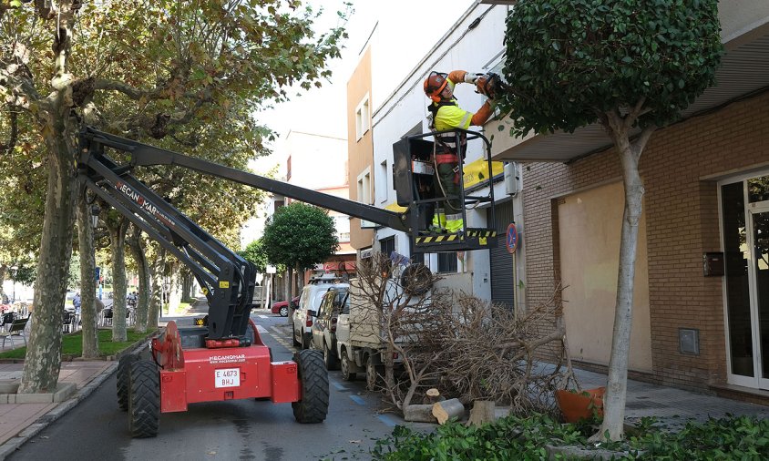 Imatge dels treballs de poda a l'avinguda de Josep Vidal i Barraquer, a l'Eixample