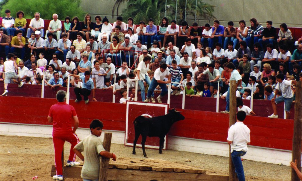 Vaquetes a la Festa dels Barris de l'Eixample / Juny 1990