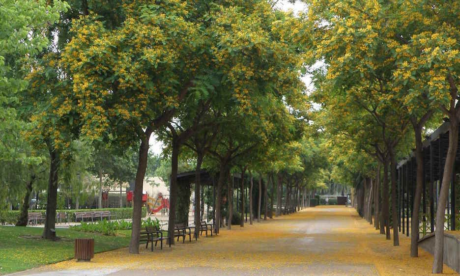Famílies de canalla amb algun transtorn de l'espectre autista demanen poder sortir al carrer de forma excepcional